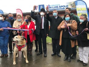 "Don Luis Apolo": El perrito más querido de Osorno tiene veterinaria municipal a su nombre