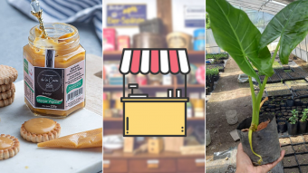 Kioskito Romántica: Plantitas, cofias y productos sin gluten en la vitrina de viernes