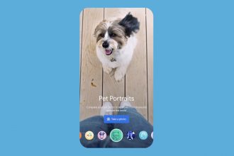 ¿Sabías que tu mascota es una obra de arte?: Esta app encontrará un doble artístico de tu animalito