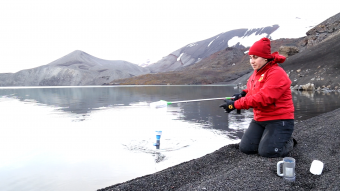 Chilena obtiene importante premio internacional por su trabajo en ecosistemas antárticos y subantárticos