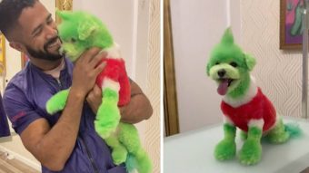 ¿Maltrato animal? Hombre generó polémica por teñir a su perro para transformarlo en “El Grinch”