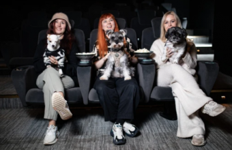 ¿Irías con tu mascota?: Abren el primer cine para perritos en Reino Unido