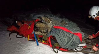 Un verdadero héroe: perrito salva a un hombre de la hipotermia estando encima por 13 horas