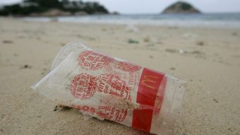 ¿Sabías esto?: Los plásticos biodegradables no se descomponen fácilmente en el océano
