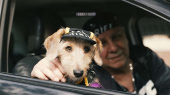 "Es mi terapia y mi compañero de vida": Mikito, el perrito que trabaja junto a su humano con enfermedad