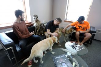 Más perritos, más productividad: Oficinas canadienses ven mejoras en sus actividades gracias a la presencia de mascotas