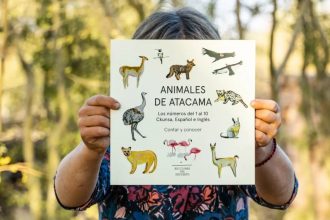 Un libro plurilingüe para niños: "Animales de Atacama" incluirá los idiomas español, inglés y ckunsa