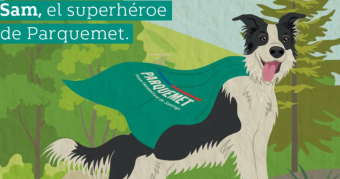 Superhéroe e inspiración: Sam, el perrito que tiene como misión eliminar la basura del Parque Metropolitano