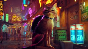 "Stray": El videojuego que protagoniza un gato y que está ayudando a recaudar fondos para refugios