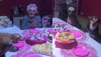 Un cumpleaños con familiares perrunos: mujer cumple 89 años rodeado de 10 perritos