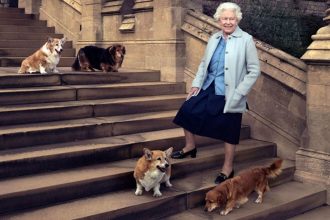 Amor Real: Los Dorgi, la raza de perros que habría sido creada por Isabel II