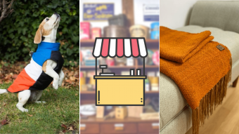 Kioskito Romántica: Asesorías fonoaudiológicas, ropa para tus mascotas y más