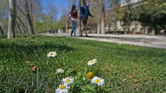 ¿Tu estación favorita? Esta es la hora exacta del inicio de la primavera