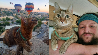 El mejor dúo viajero: la gatita Nala junto a su humano han visitado 29 países y buscan romper record mundial