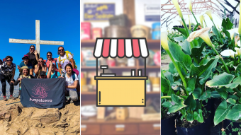 Kioskito Romántica: Senderismo para mujeres, plantas, accesorios y más
