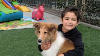 "Una lectura de humanidad": Niño enternece por pedir donaciones para perritos sin hogar en vez de regalos