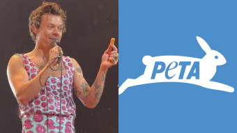 Por rechazar un nugget de pollo: Harry Styles ganó premio de Mejor Momento Viral para Animales de PETA