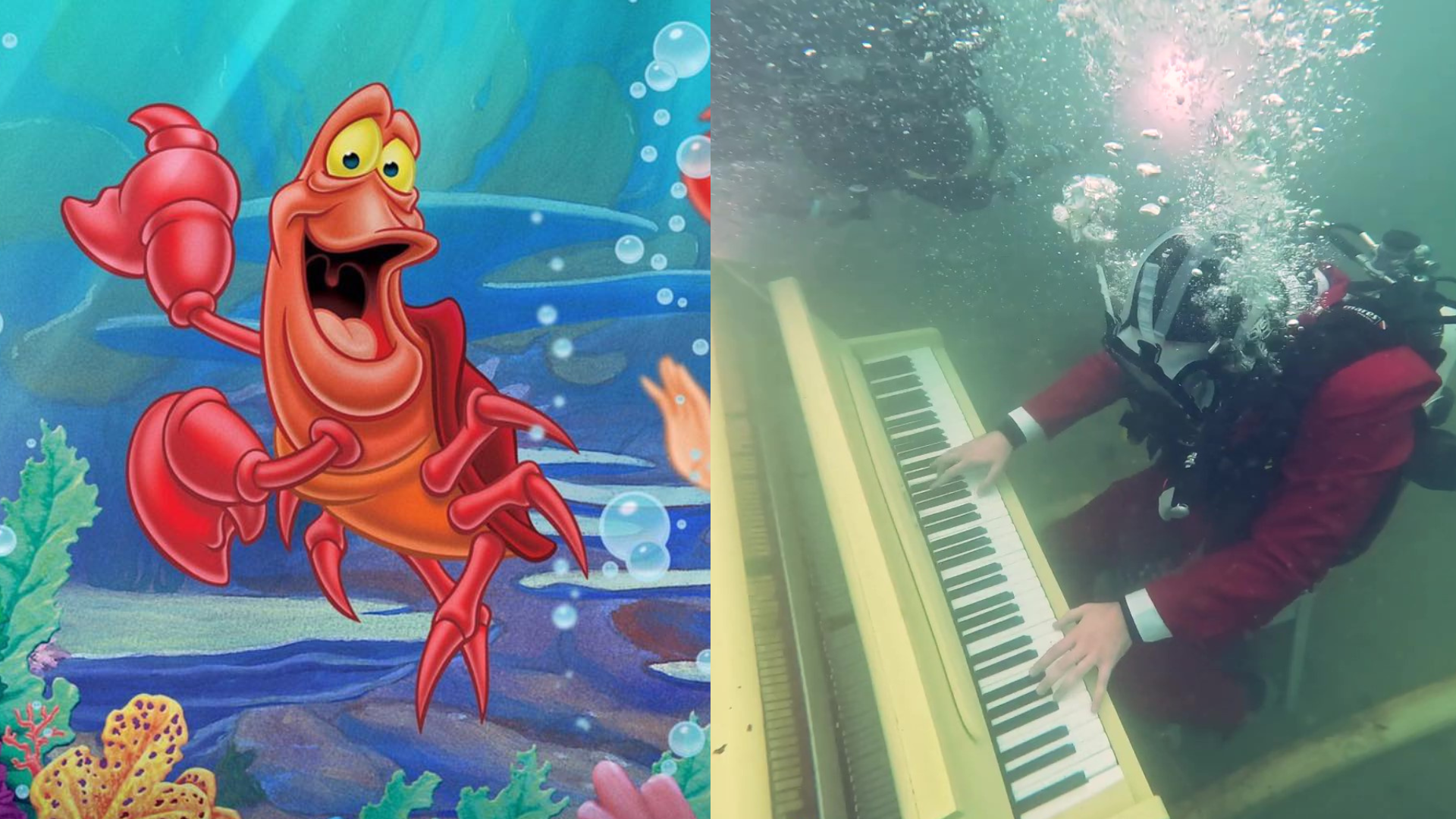 Incorporar Abolido Dificil Así suena “Bajo el Mar” bajo el mar: hombre tocó la canción de “La  Sirenita” con un piano en el agua