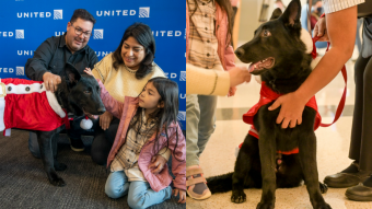 Amor animal de aeropuerto: Perrito fue abandonado pero terminó siendo adoptado por un capitán de vuelo