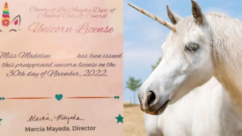 "Si puedo encontrar uno": niña de 6 años pide licencia al condado de Los Ángeles para tener un unicornio