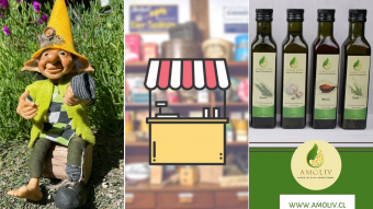 Kioskito Romántica: Juguetes didácticos, aceite de oliva y más para regalar acá