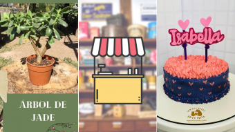 Kioskito Romántica: Tortas para mascotas, plantas y mucho más en nuestra vitrina