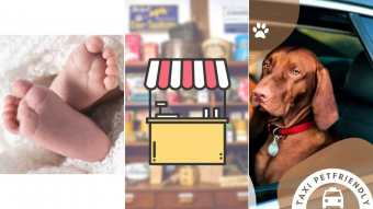 Kioskito Romántica: Taxi Pet Friendly, fotografía profesional y mucho más
