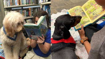 READ: El programa educativo que enseña a leer a niños y niñas con perritos