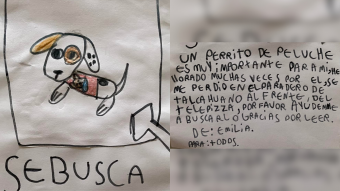 "Es muy importante para mí": Niña de 8 años conmueve las redes con un cartel para encontrar su peluche en Talcahuano