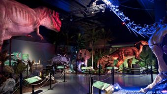 Reino Jurásico en Santiago: Ya puedes visitar el primer parque nocturno de dinosaurios robóticos