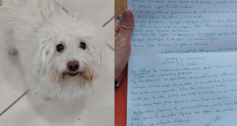 "Me siento muy frustrada e inútil": La triste carta de una mujer que tuvo que abandonar a su perrita