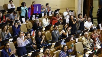 Pasó al Senado: Cámara de Diputados aprueba el proyecto que protege a hijos de víctimas de femicidios
