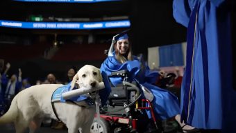 Un merecido reconocimiento: Perrito recibe diploma en la graduación de su humana por haberla asistido en las clases
