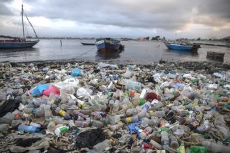 Reutilizar, reciclar y reorientar: Programa de la ONU buscará reducir un 80% de la contaminación plástica para 2040