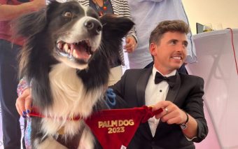 Un premio para canes en el Festival de Cannes: "Messi", el perrito que ganó el premio Palm Dog por su destacada actuación