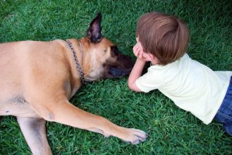 El amor es más real de lo que se cree: Estudio constata que perros y humanos comparten una conexión cerebral