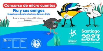 "Fiu y sus amigos": Conoce los detalles del concurso de microcuentos de Santiago 2023