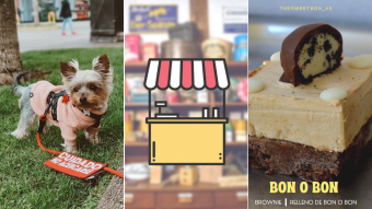 Kioskito Romántica: Pastelería, accesorios y ropa para mascotas y mucho más