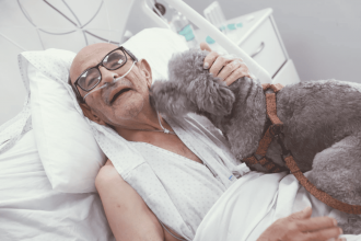 Encuentros que sanan: Hospital Clínico de la U. de Chile permite visitas de  mascotas a pacientes críticos
