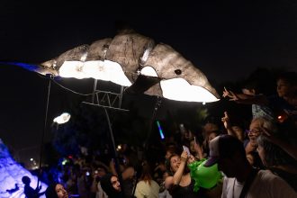 El norte se llena de cultura con el Fintdaz, Festival Internacional de Teatro y Danza de Iquique